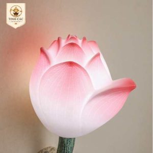 sp